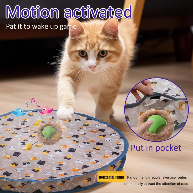 Interactive Cat Toy – Hidden Ball Hunting Mat