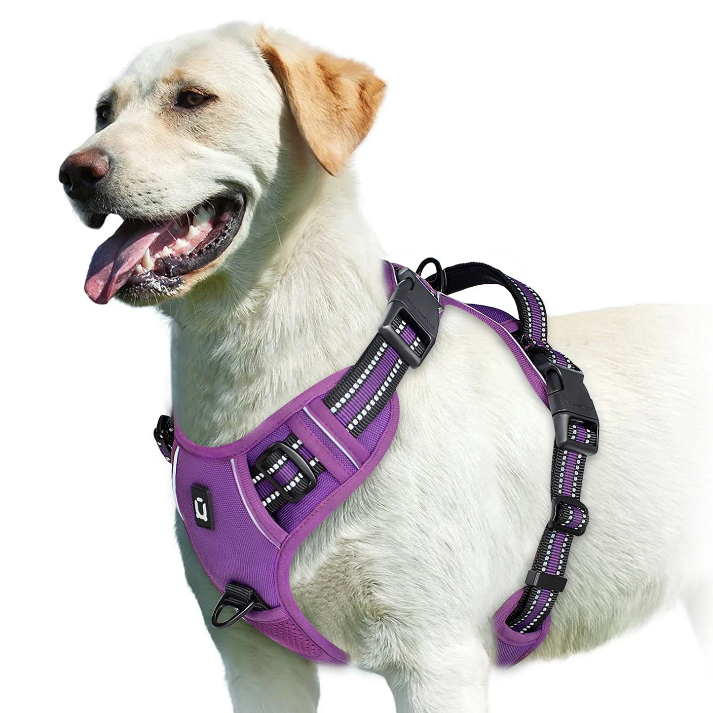 Arnés para Perro Antitirones – Ajustable, Acolchado y Reflectante