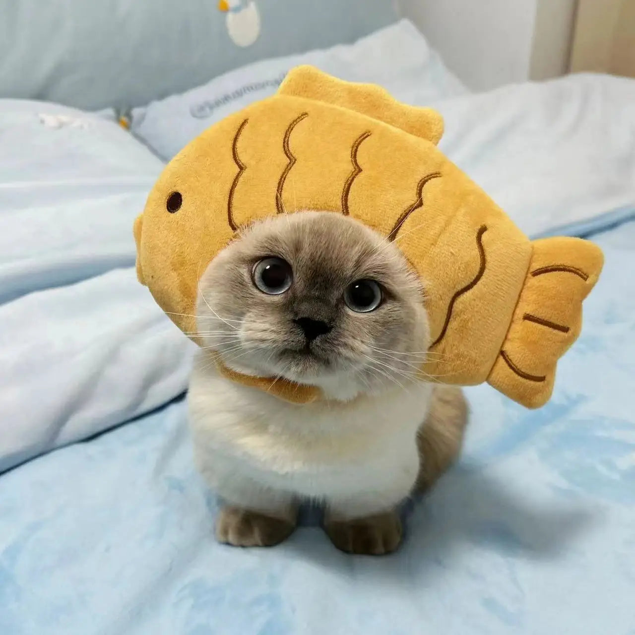 Gorro para Gato Divertido - Plush para Fotos