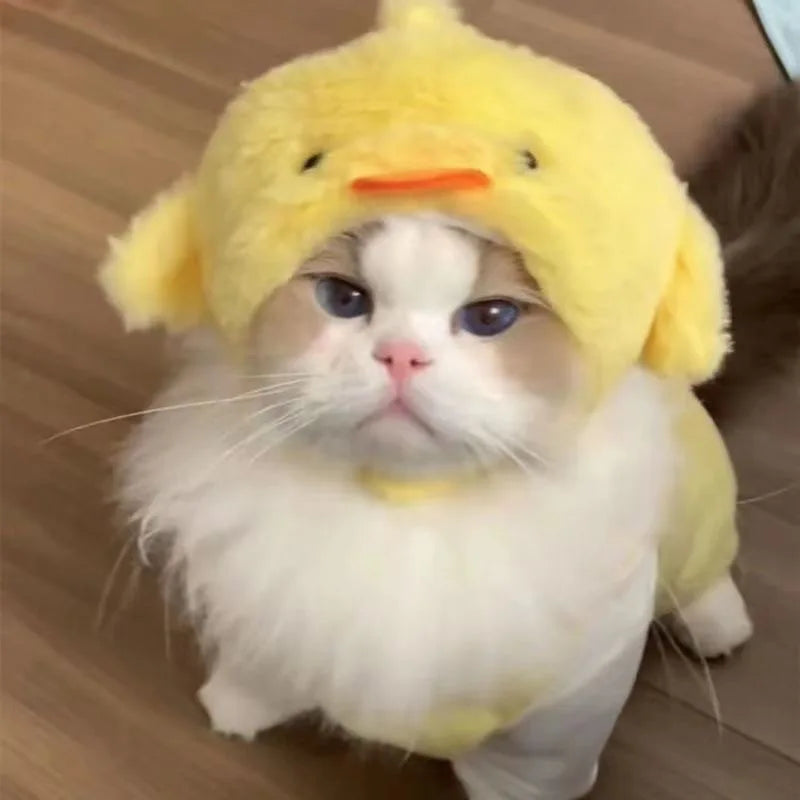 Gorro para Gato Divertido - Plush para Fotos