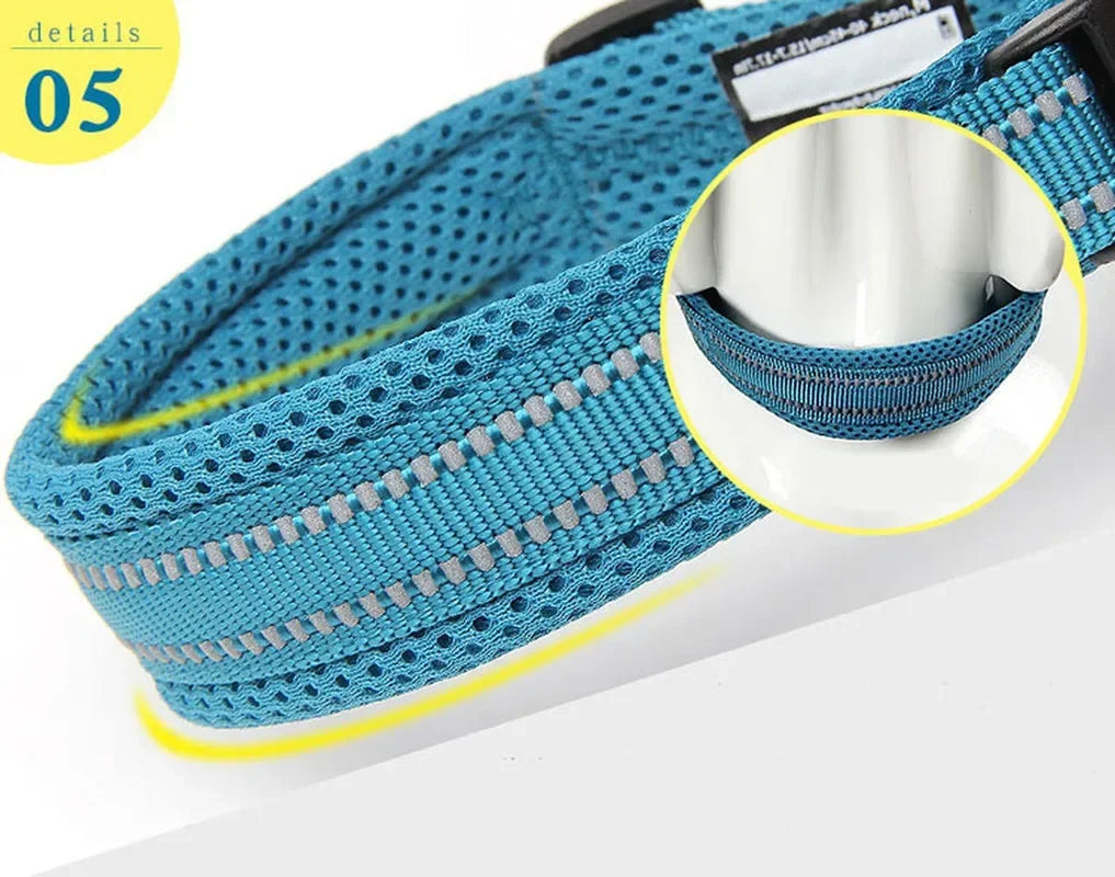 Collar para Perro Ajustable Acolchado con Diseño Reflectante