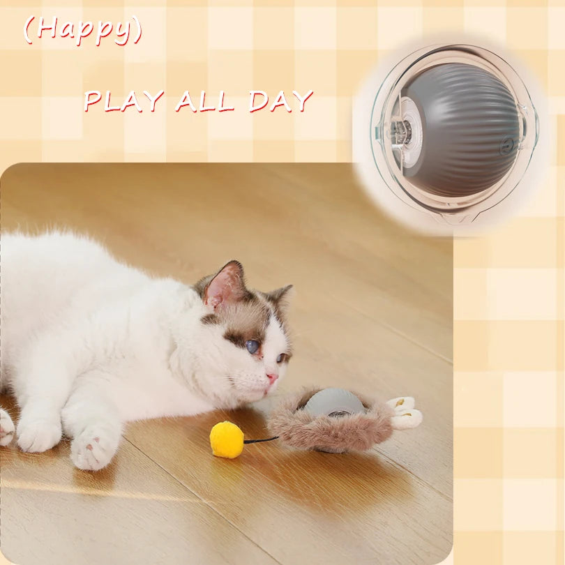 Interactive Cat Toy – Hidden Ball Hunting Mat