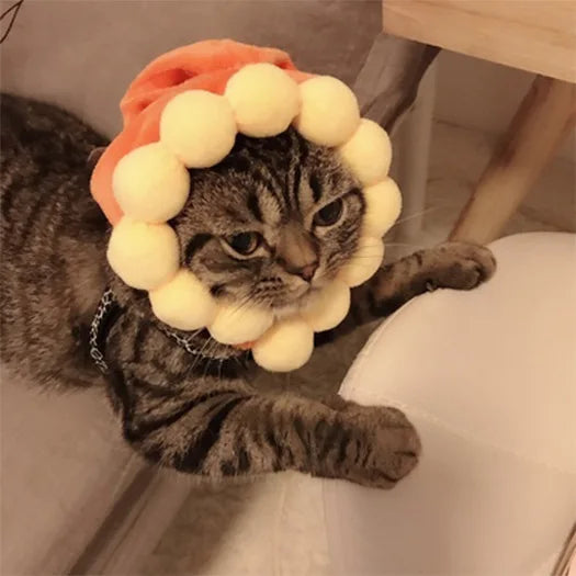 Gorro para Gato Divertido - Plush para Fotos