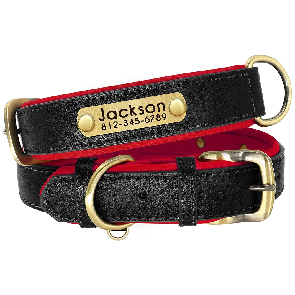 Collar Personalizado para Perro de Cuero PU con Placa Grabada
