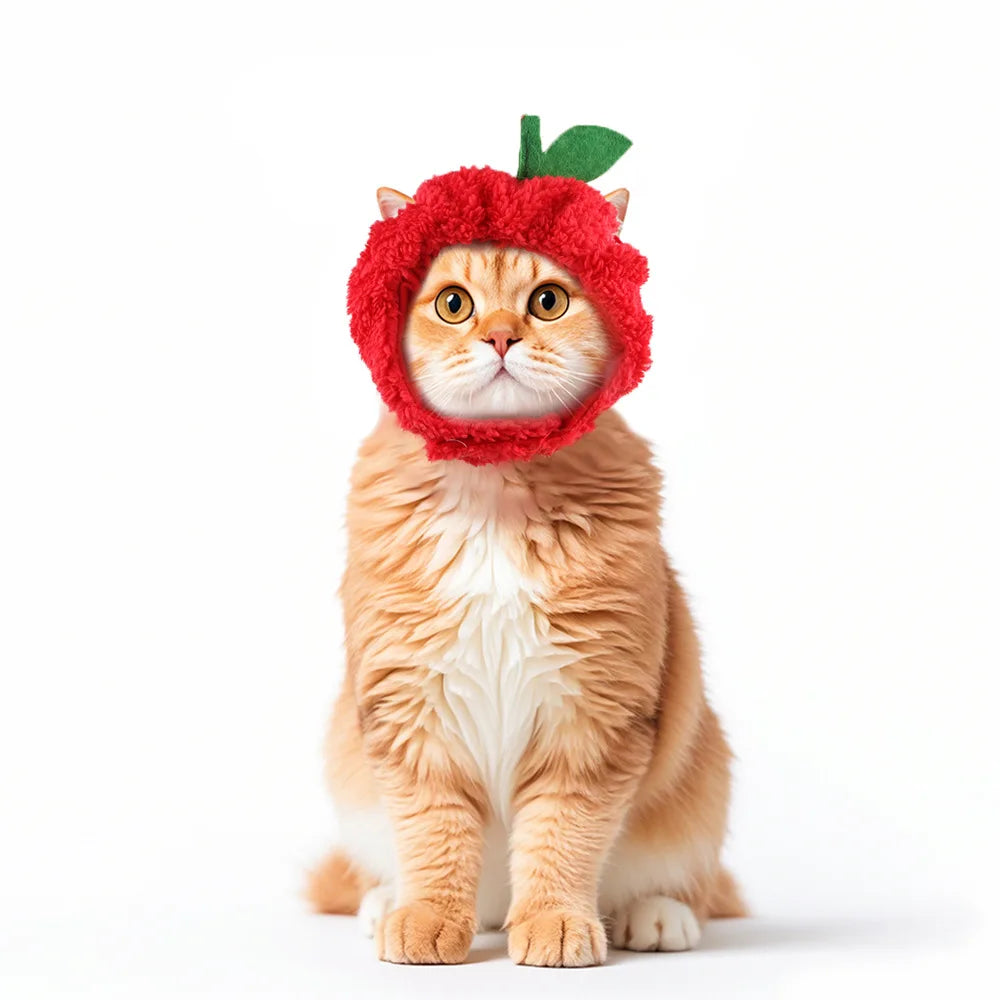 Gorro para Gato Divertido - Plush para Fotos