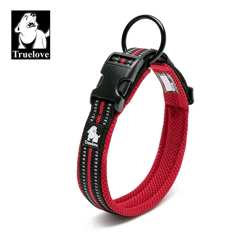 Collar para Perro Ajustable Acolchado con Diseño Reflectante