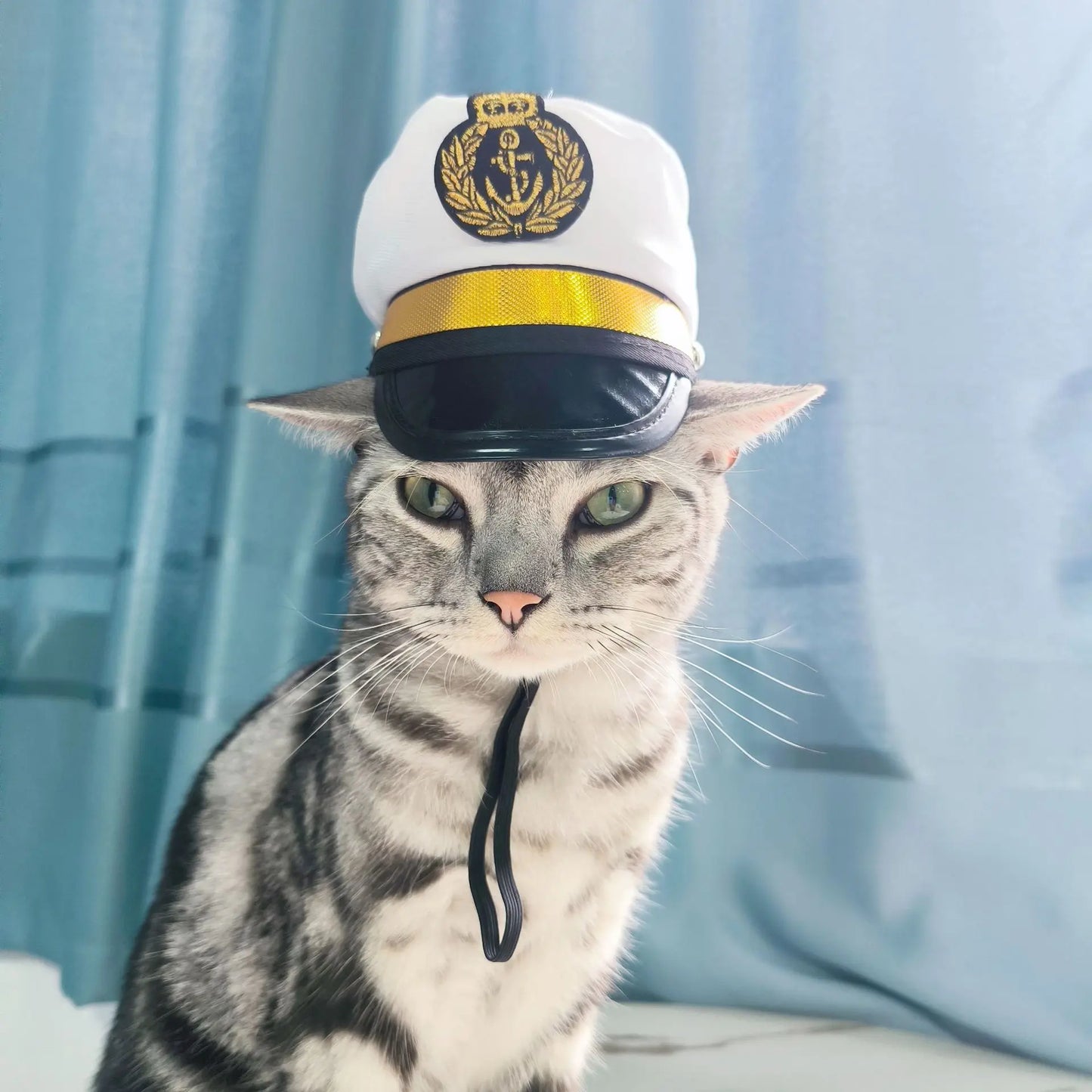 Gorro para Gato Divertido - Plush para Fotos