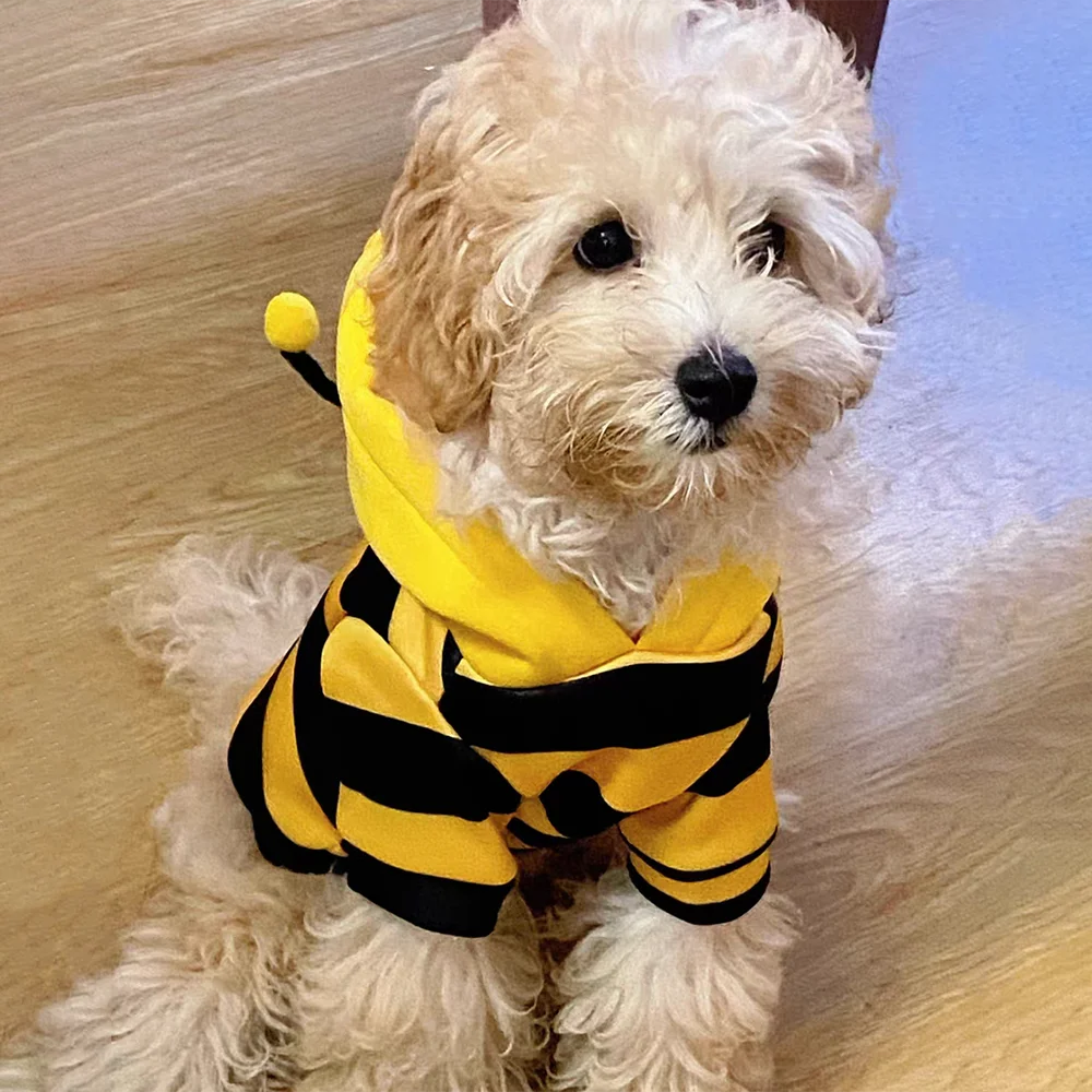 Abrigo de Abeja para Perros y Gatos con Capucha