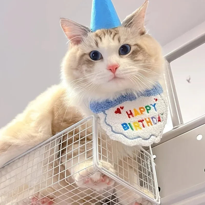 Set de Cumpleaños para Mascotas con Sombrero y Pañuelo