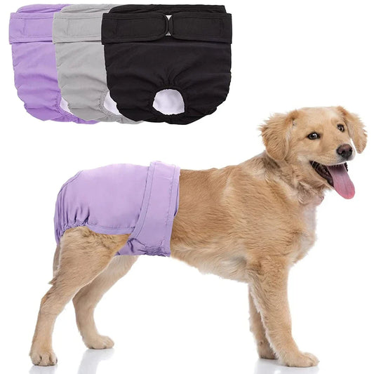 Pañal Reutilizable para Perros Hembras