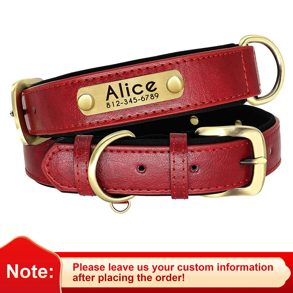 Collar Personalizado para Perro de Cuero PU con Placa Grabada