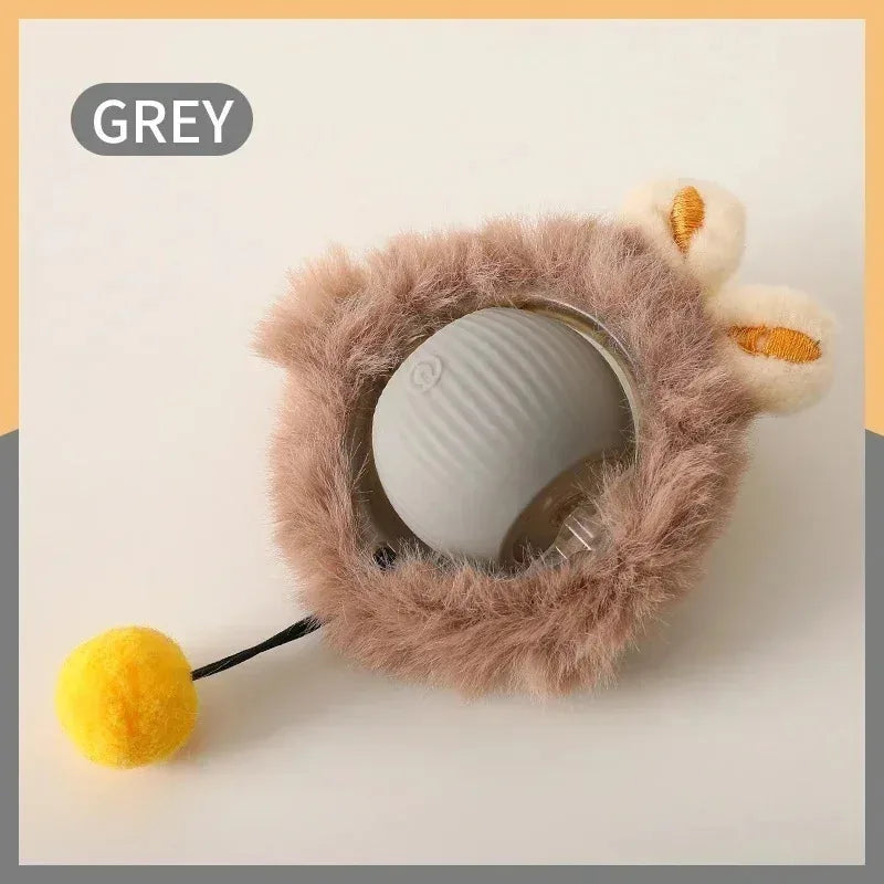 Interactive Cat Toy – Hidden Ball Hunting Mat